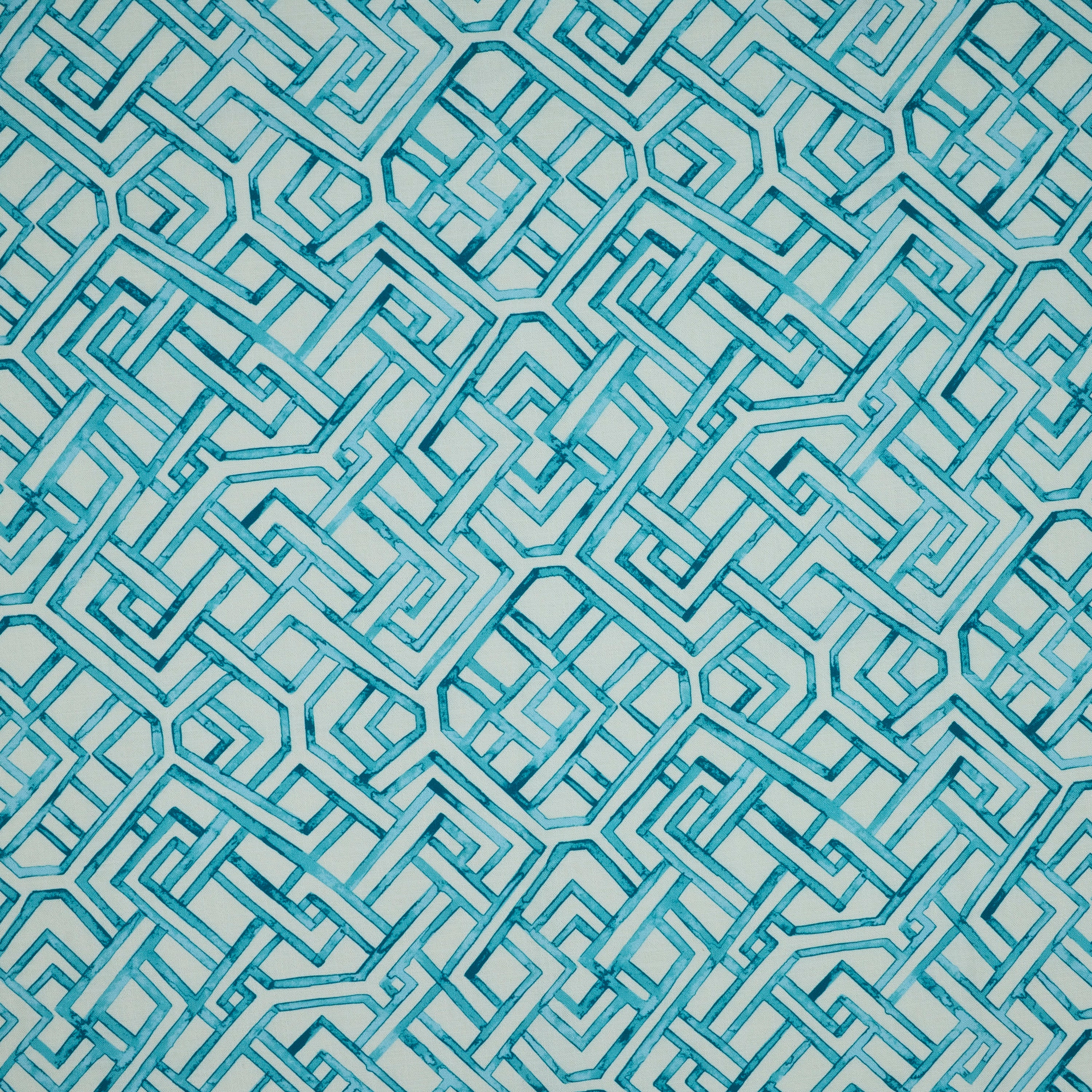 Zoom