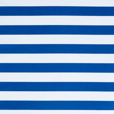 Canopy Stripe Blue & White 2" Print swatch
